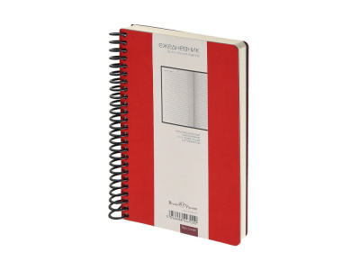 Ежедневник недатированный на спирали А5 "Agenda", красный (Р)