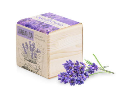 Набор для выращивания "Экокуб Classic "Лаванда"