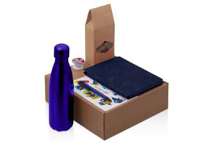 Подарочный набор с термобутылкой, блокнотом, ручкой и чаем, синий